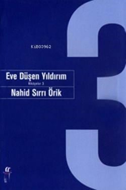 Eve Düşen Yıldırım