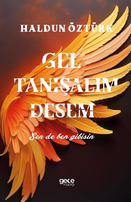 Gel Tanışalım Desem;Sen De Ben Gibisin