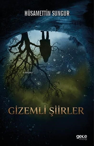 Gizemli Şiirler