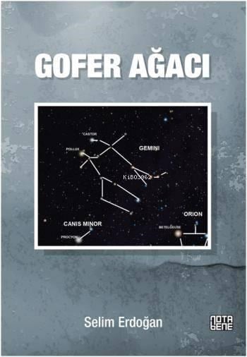 Gofer Ağacı