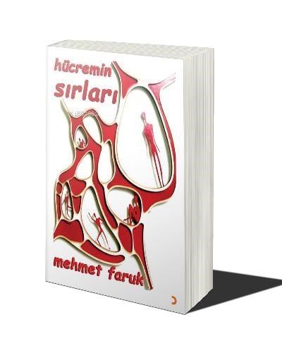 Hücremin Sırları