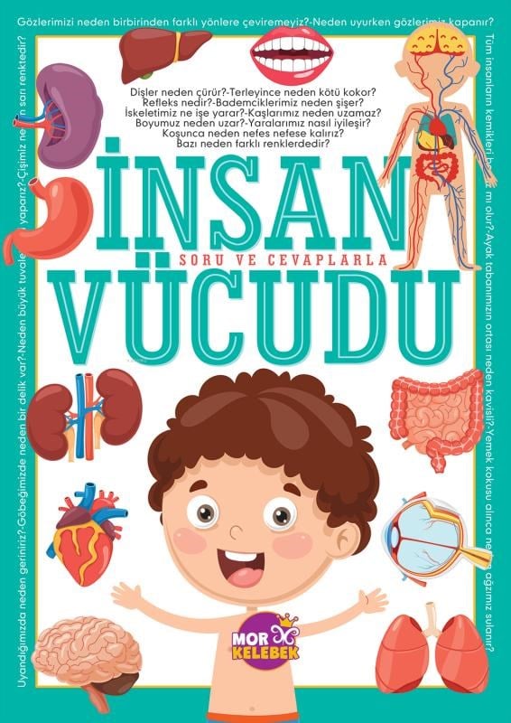 İnsan Vücudu