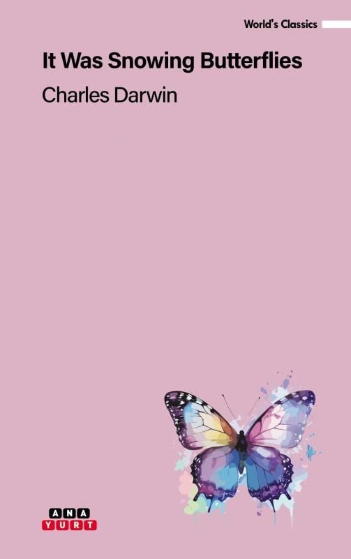 It Was Snowing Butterflies