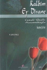 Kalbim, Ey Divane