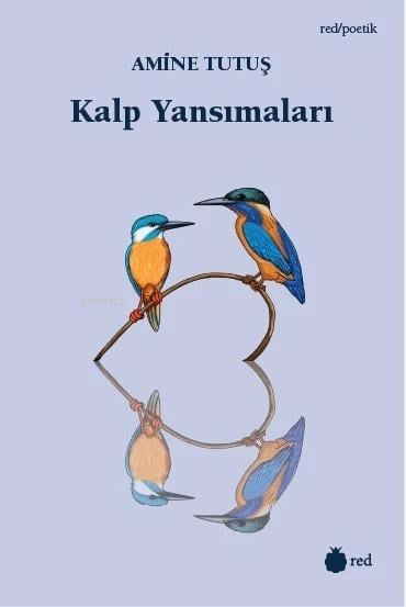 Kalp Yansımaları