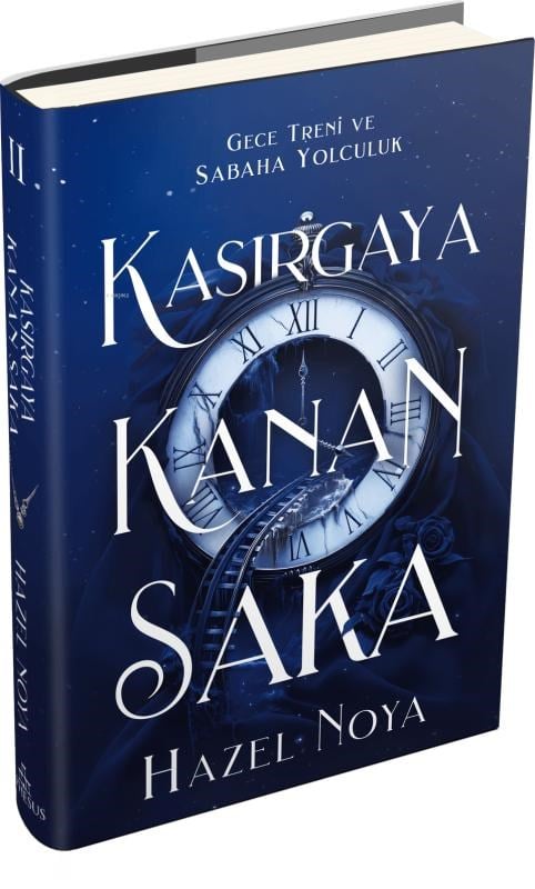 Kasırgaya Kanan Saka 2 (Ciltli)