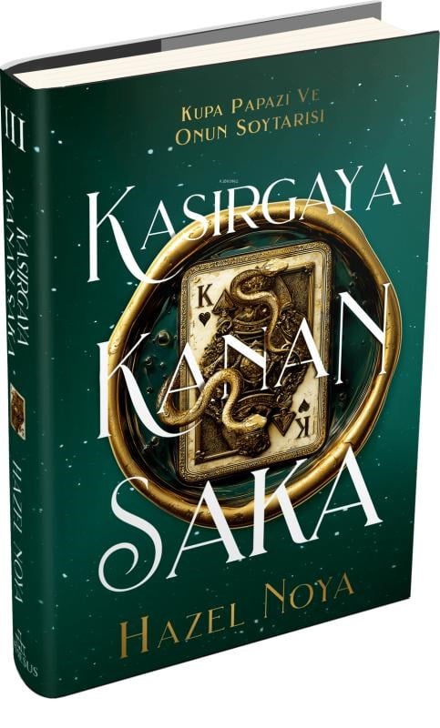 Kasırgaya Kanan Saka 3  (Ciltli)