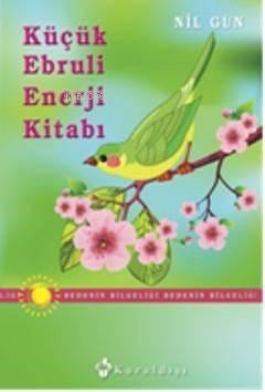 Küçük Ebruli Enerji Kitabı