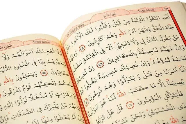 Kuranı Kerim - Sade Arapça - Rahle Boy - Fetih Yayınları - Bilgisayar Hatlı