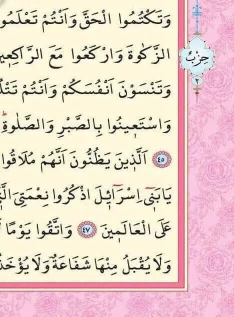 Kuranı Kerim - Sade Arapça - Rahle Boy - Sesli - Pembe Renk - Ayfa Kuran - Bilgisayar Hatlı