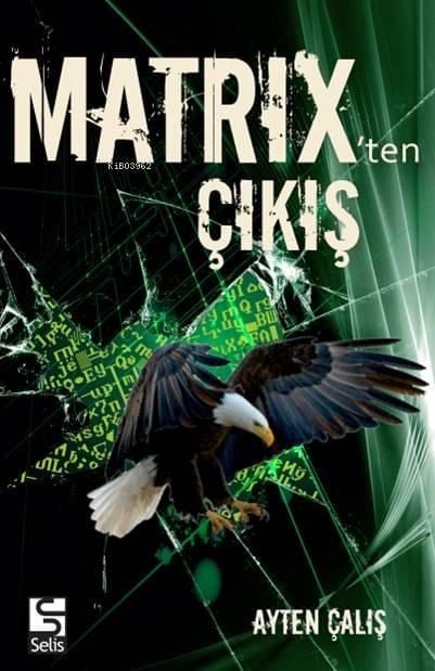 Matrix'ten Çıkış; Mefisto Geçidi