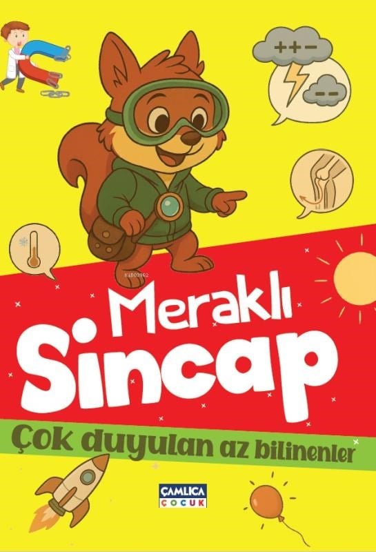 Meraklı Sincap