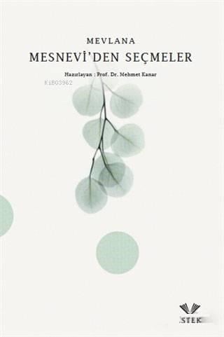 Mesnevi'den Seçmeler