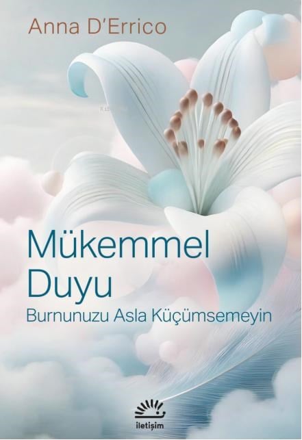 Mükemmel Duyu ;Burnunuzu Asla Küçümsemeyin