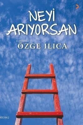 Neyi Arıyorsan