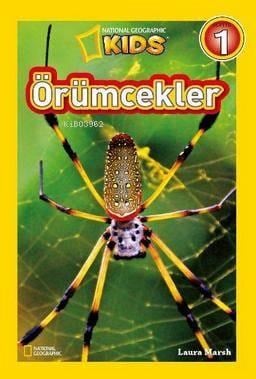 Örümcekler-Seviye 1