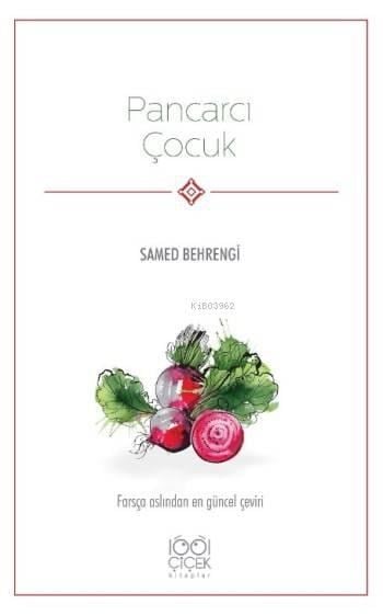 Pancarcı Çocuk