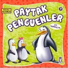 Paytak Penguenler ile Tanışalım; Sevimli Hayvanlar - 7
