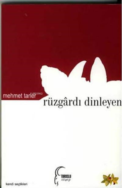Rüzgardı Dinleyen