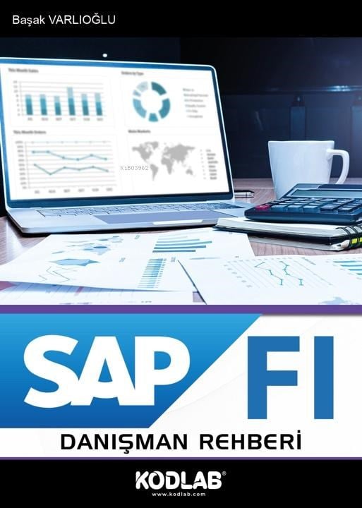 Sap Fı Danışman Rehberi