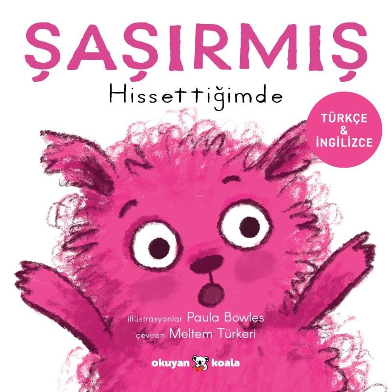Şaşırmış Hissettiğimde (Türkçe - İngilizce);İlk Duygularım Serisi