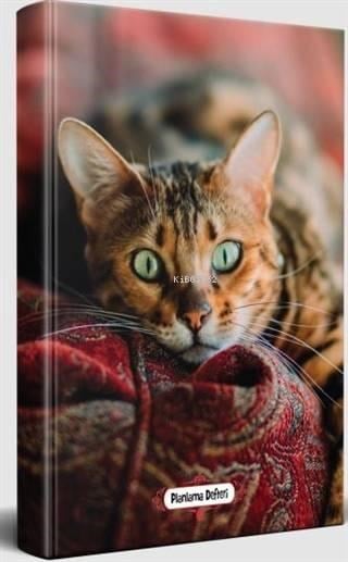 Şaşkın Kedi - Planlama Defteri