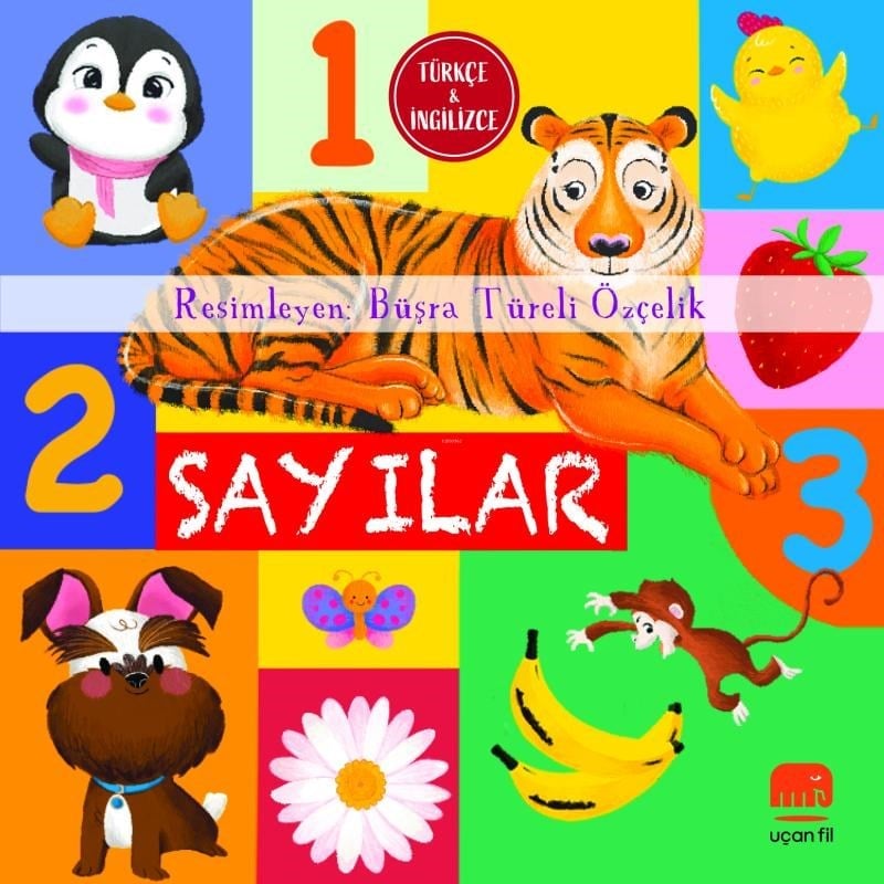 Sayılar