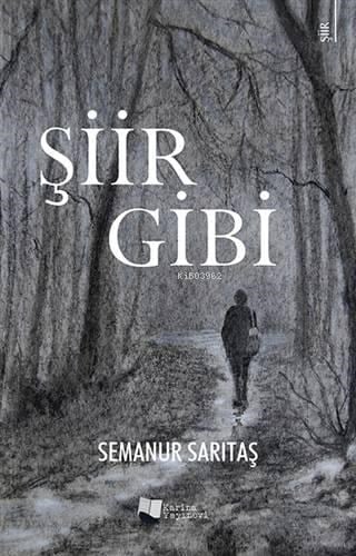 Şiir Gibi