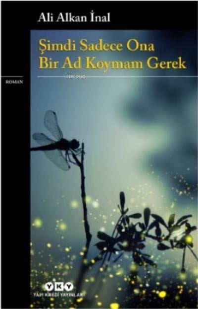 Şimdi Sadece Ona Bir Ad Koymam Gerek