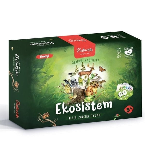 Usturlab Kutu Oyun Ekosistem