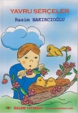Yavru Serçeler