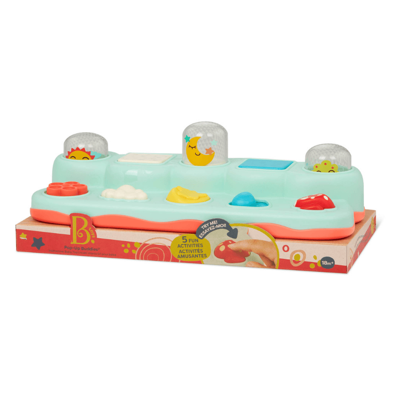 B.Toys Renk ve Şekil Eğitici Oyun