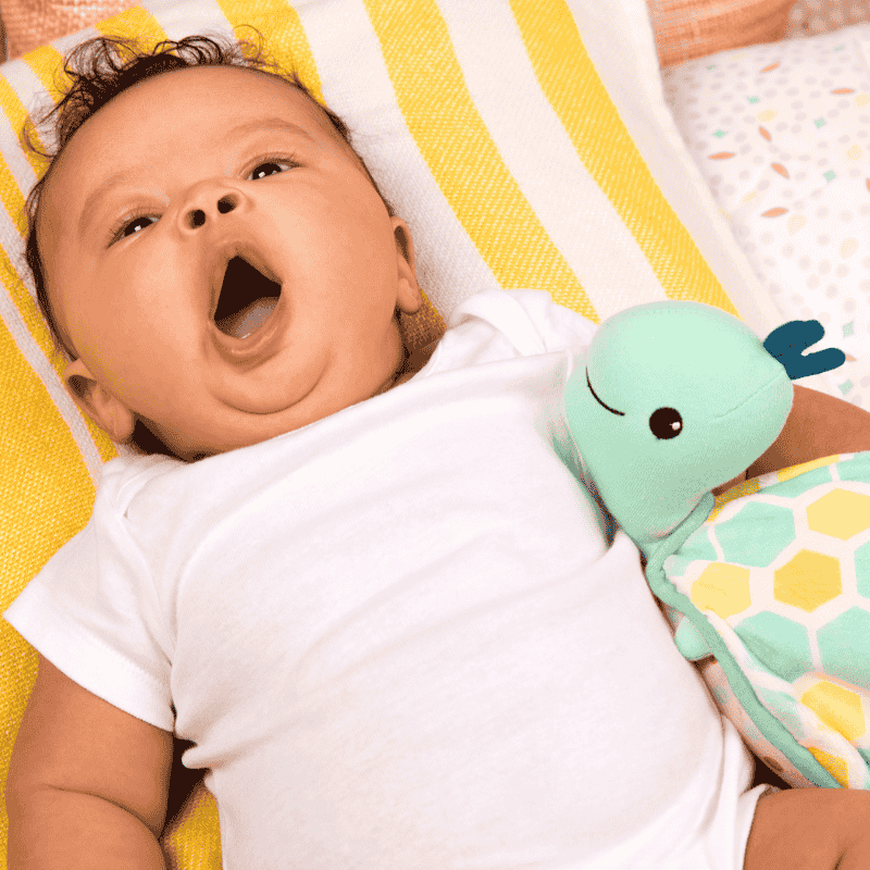 B.Toys Sesli ve Işıklı Uykucu Kaplumbağa