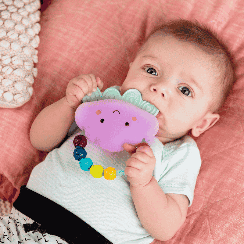 B.Toys Yağmur Diş Kaşıyıcı
