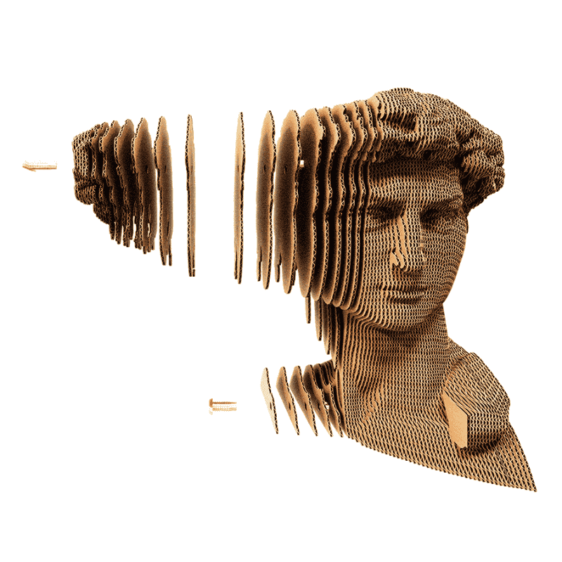 Cartonic 3D Puzzle - DAVID