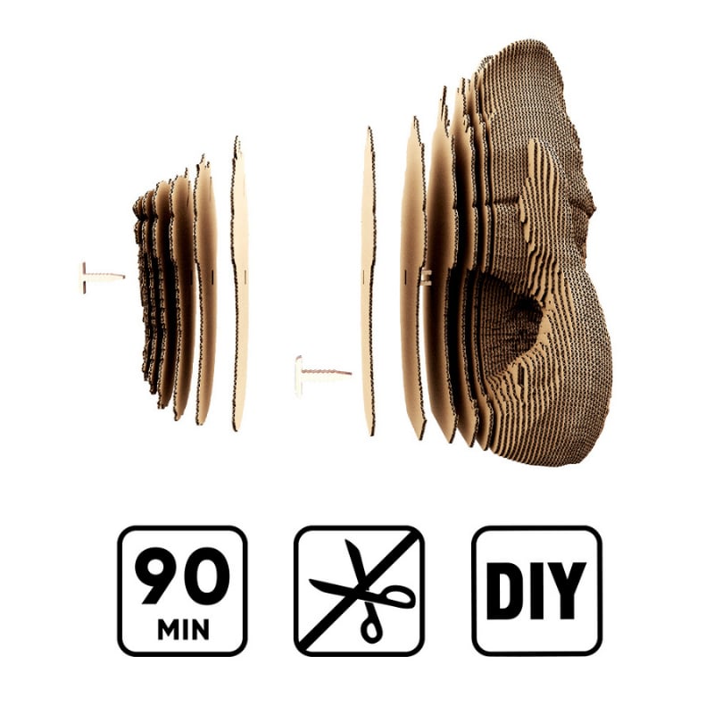 Cartonic 3D Puzzle - FISH VASE