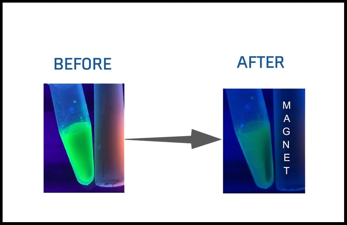 Bright Green CdSe Based Quantum Dots (Magnetic)