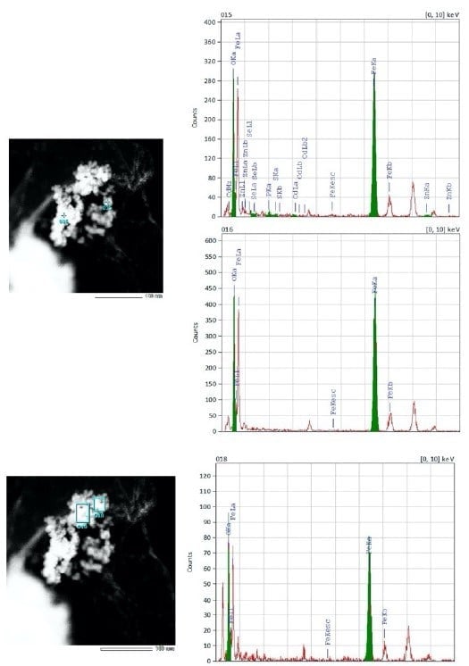 Bright Green CdSe Based Quantum Dots (Magnetic)