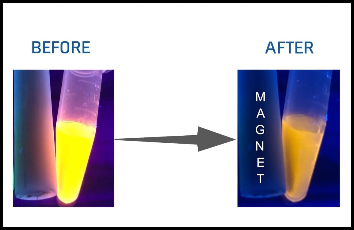 Bright Orange CdSe Based Quantum Dots (Magnetic)