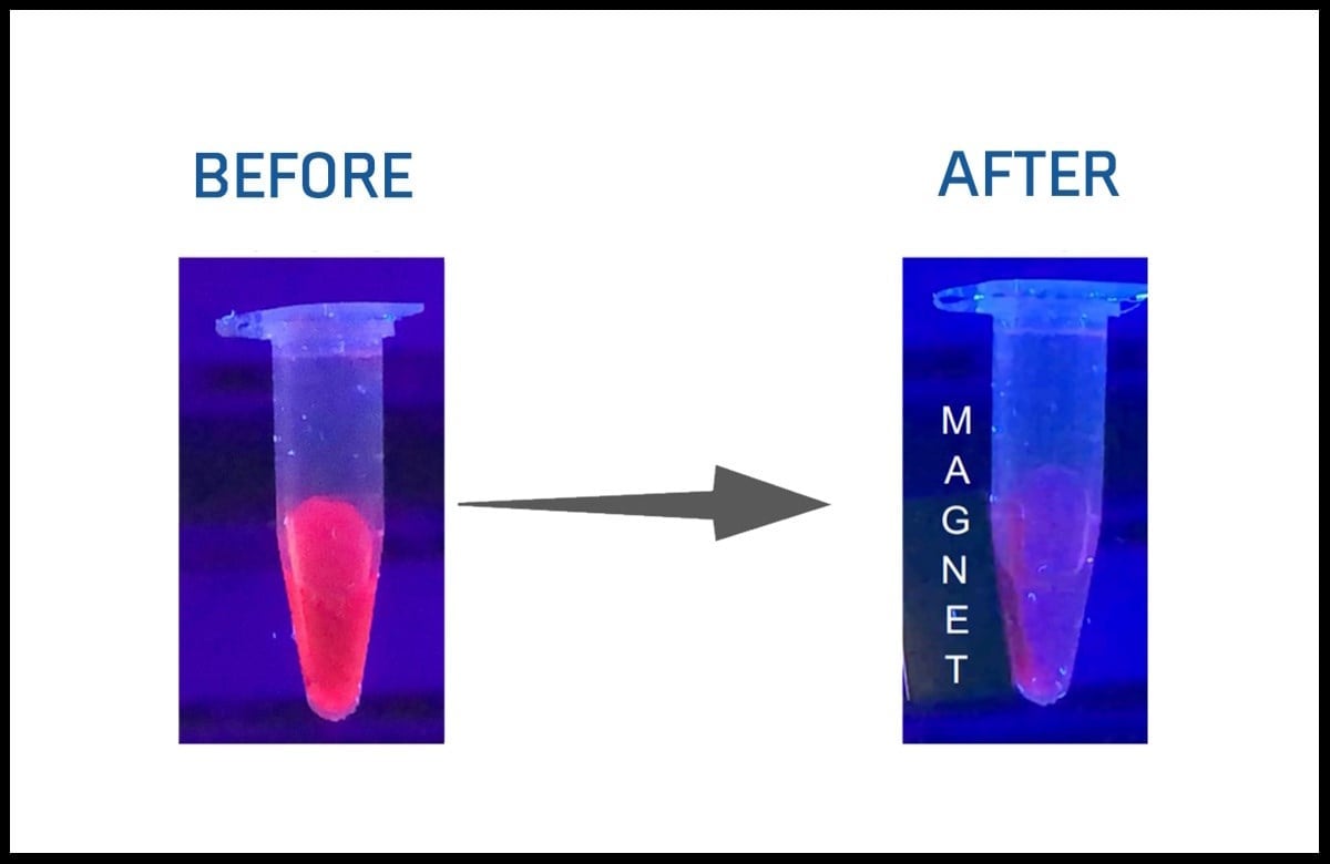 Bright Red CdSe Based Quantum Dots (Magnetic)