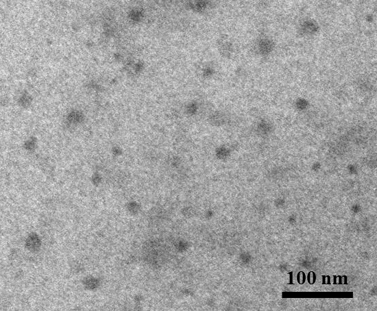 Carbon Quantum Dots - Blue, Nitrogen Doped (λem:451 nm, Exc: 365 nm)