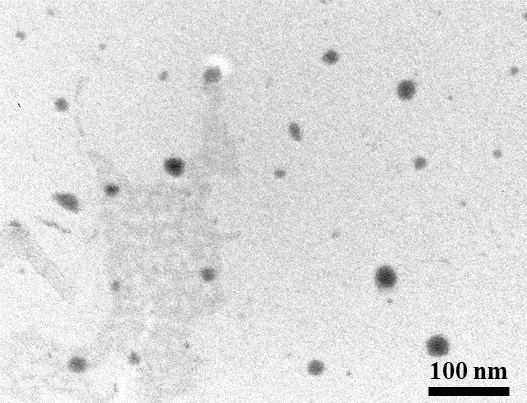 Carbon Quantum Dots - Green, Nitrogen Doped (λem:490 nm, Exc: 365 nm)