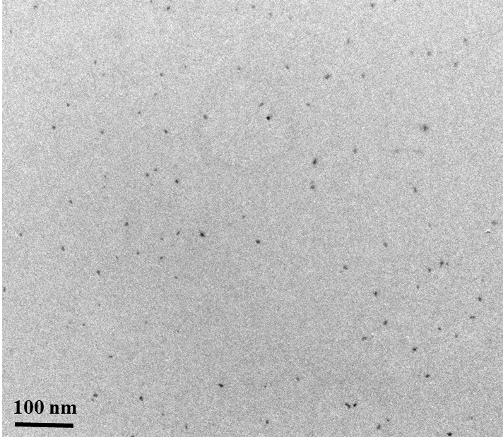 Carbon Quantum Dots - Red (λem :604nm, Exc: 365 nm)