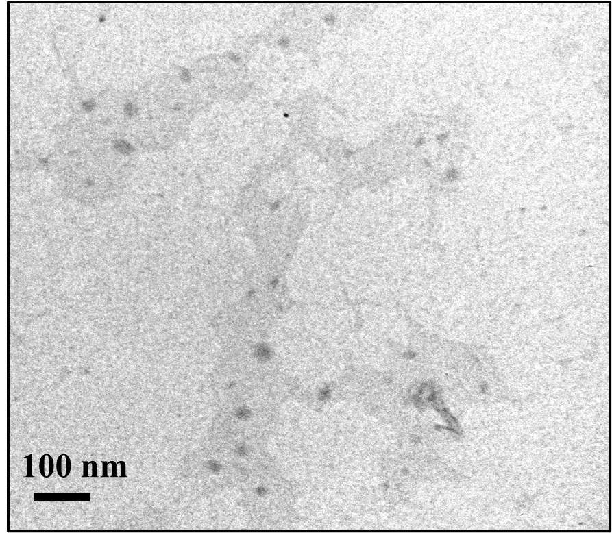 Carbon Quantum Dots - Yellow, Nitrogen Doped (λem:492 nm, Exc: 365 nm)