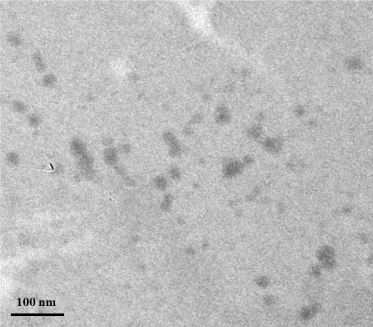 Carbon Quantum Dots - Yellow, Sulfur Doped (λem:495 nm, Exc: 365 nm)