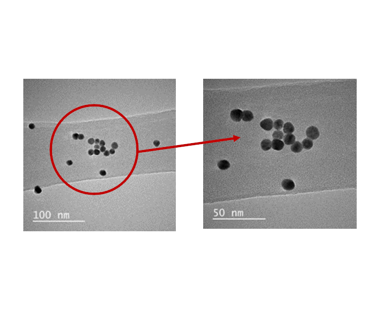 Gold Nanoparticles (13 nm diameter, OD1)