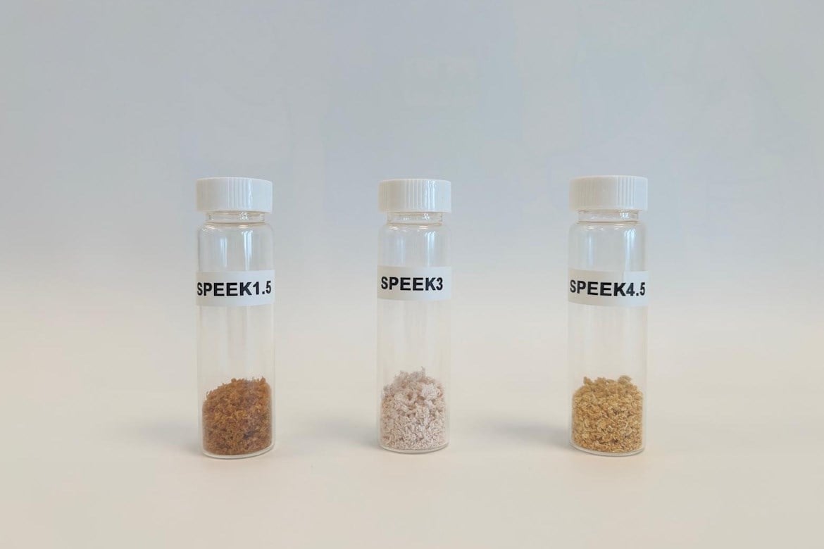 Sulfonated Poly(Ether Ether Ketone) (SPEEK)