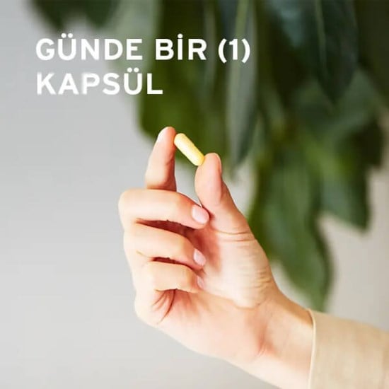 solgar-vitamin-b-komplex-50-100-kapsul-0b13a-.jpg
