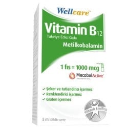 wellcare-vitamin-b12-1000-mcg-sprey-5---45b3-.jpg