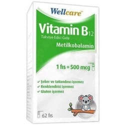 wellcare-vitamin-b12-500-mcg-sprey-5-m-27-94c.jpg